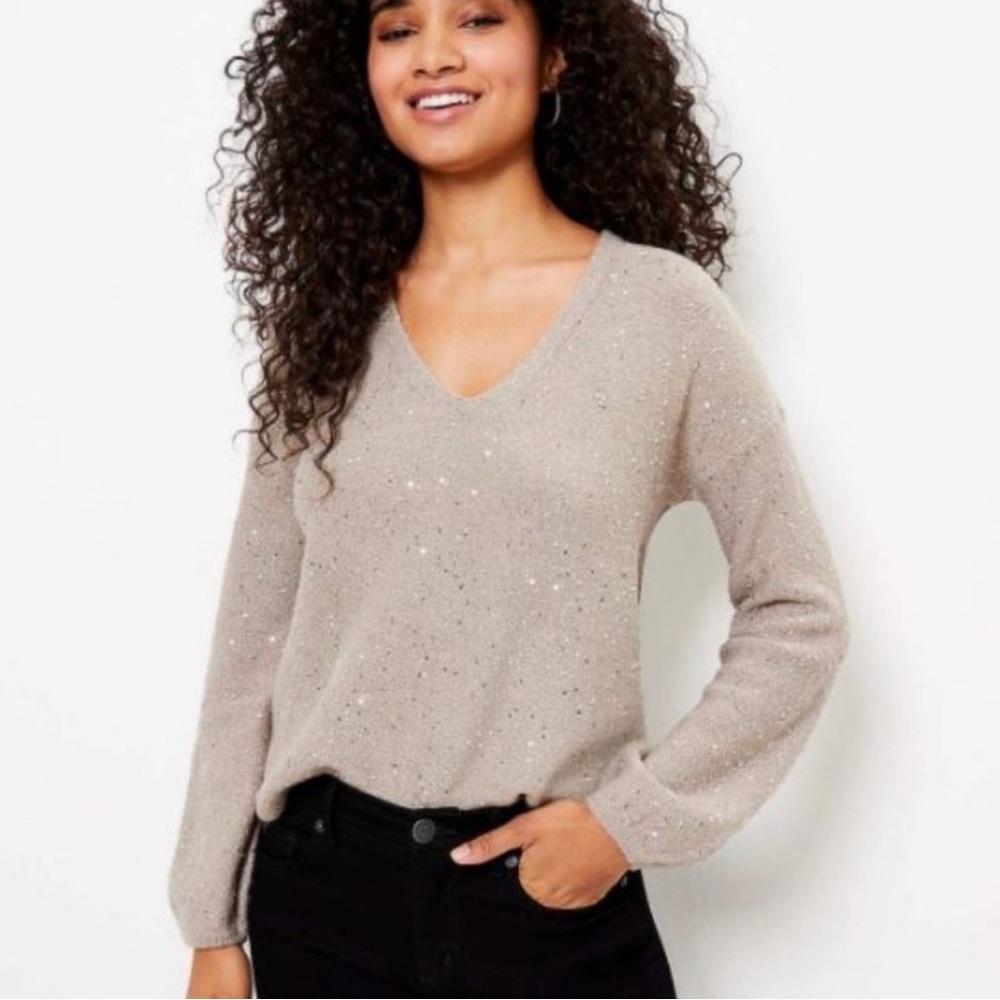 NWT LOFT Sequin Double V Sweater